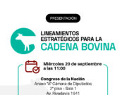 ¿Cuánto más podría generar la cadena bovina? 114 mil nuevos puestos de trabajo, más de 1 millón de toneladas extra de carne y más de 4 mil millones de dólares más por exportación