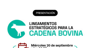 ¿Cuánto más podría generar la cadena bovina? 114 mil nuevos puestos de trabajo, más de 1 millón de toneladas extra de carne y más de 4 mil millones de dólares más por exportación