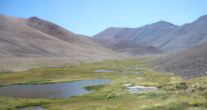 Revelan las causas de la degradación de humedales en Cuyo