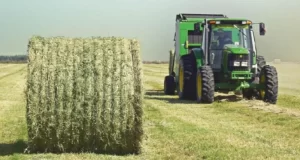 Realizan en Quines una jornada para mejorar la henificación de la alfalfa