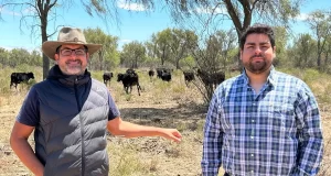 Hacen cría extensiva y progresan con menos de 300 mm de lluvias