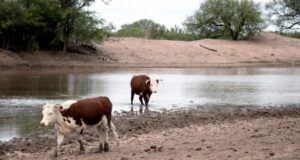 Productores de seis localidades se reúnen en la Rural San Luis para gestionar ayuda por la sequía