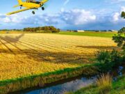 La desregulación y el campo: fin para la Ley de Tierras, cambios en economías regionales y prohibición a las restricciones al comercio exterior