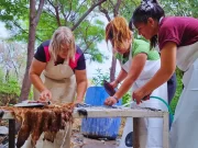 Mujeres rurales agregan valor a la curtiembre de cueros
