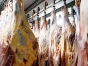 El Gobierno autorizó a exportar los 7 “cortes populares” de carne prohibidos durante la gestión de Alberto Fernández