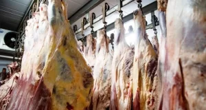 El Gobierno autorizó a exportar los 7 “cortes populares” de carne prohibidos durante la gestión de Alberto Fernández