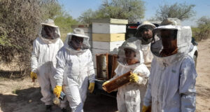 Una comunidad Huarpe levantó su primera cosecha de miel