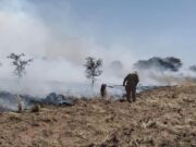 San Luis trabaja en la creación de un plan de contingencia ante incendios forestales