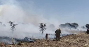 San Luis trabaja en la creación de un plan de contingencia ante incendios forestales