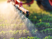 ¿Hace falta receta agronómica para recomendar y aplicar biológicos?