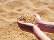 El Gobierno hará partícipes a los productores de la reglamentación de UPOV 91