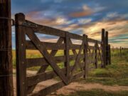 Esperan un fuerte repunte de la actividad inmobiliaria rural