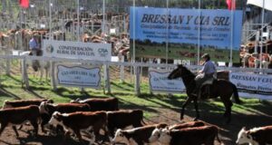 Bressan & Cía. regresa con sus remates de hacienda en San Luis