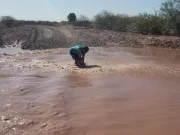 Tras más de diez años, volvió el agua a las Lagunas de Guanacache