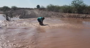 Tras más de diez años, volvió el agua a las Lagunas de Guanacache