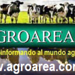 agroarea-static