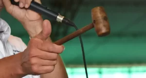 Scaglia remata este jueves 700 cabezas en Villa Dolores
