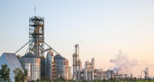 Se autorizó la comercialización de una nueva levadura que opitimiza la producción de bioetanol