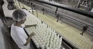 Tilisarao: comenzarán a producir dulce de leche, yogurt y variedades de queso