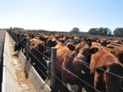 La caída del consumo y una escasa competitividad exportadora comenzaron a retrasar los valores de la hacienda