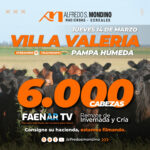 VILLA-VALERIA-14-DE-MARZO-1