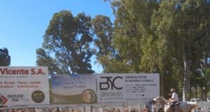 Valores muy firmes para los terneros en el remate de Bressan en San Luis
