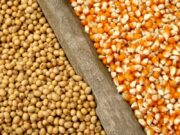Gran preocupación de los productores por cómo impactarán las variables económicas en su rentabilidad