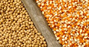 Gran preocupación de los productores por cómo impactarán las variables económicas en su rentabilidad