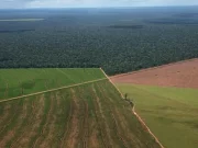 Declaran inconstitucional la derogación de la Ley de Tierras