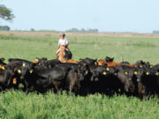 Los sueldos de los peones rurales aumentan 12% en marzo, pero seguirán estando bajo la línea de pobreza