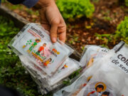 ProHuerta: desconcierto por el final de un programa oficial que enseñaba a producir alimentos