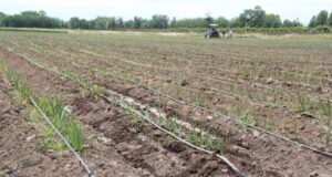 Se viene la Expo Agua 2024: gestión del recurso hídrico y nuevas tecnologías para riego