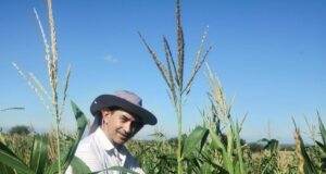 Bioinsumos: herramienta para mejorar la sustentabilidad y los rendimientos en la producción agrícola.