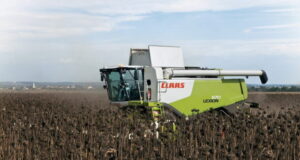 Terminó la cosecha de girasol en San Luis con poca baja en los rindes