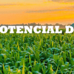 Gil_Civalero_banner