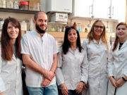 Identifican extractos y compuestos de plantas argentinas que inhibieron la multiplicación del virus del dengue