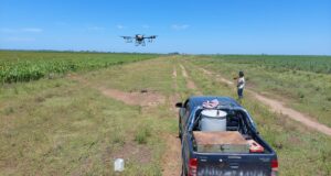 Villa Mercedes: crece el servicio con drones para sembrar, fumigar y fertilizar