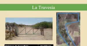 Encuentro del Grupo Cambio Rural “Ganaderos del Dupuy” en Estancia La Travesía