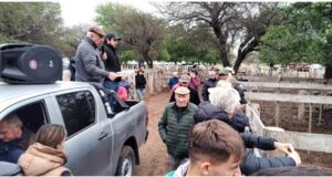 Valores firmes en Victorica en el remate de Néstor Hugo Fuentes SA