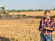 El agro necesita cada vez más diversidad de perfiles, aunque todavía tiene baja presencia como potencial empleador entre los jóvenes