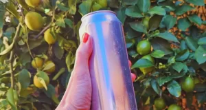 Cuál es la huella de carbono de una lata de cerveza