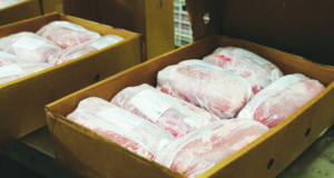 Argentina abre nuevos mercados: exportará a Uruguay carne de cerdo