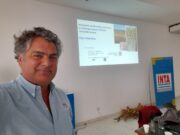 ¿Bajará la superficie con maíz en San Luis después de la “chicharrita”?