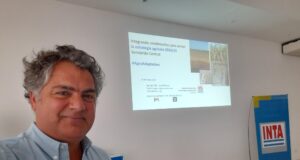 ¿Bajará la superficie con maíz en San Luis después de la “chicharrita”?