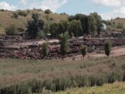 San Luis: el Defensor del Pueblo apura pruebas para frenar la contaminación de un feedlot