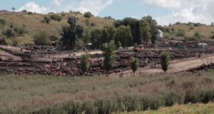 San Luis: el Defensor del Pueblo apura pruebas para frenar la contaminación de un feedlot
