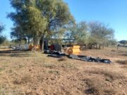 San Luis: detectaron triquinosis en dos jabalíes cerca del paraje Las Barrancas