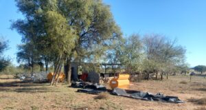 San Luis: detectaron triquinosis en dos jabalíes cerca del paraje Las Barrancas