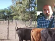 Veterinario, docente, asesor en gestión de empresas agropecuarias y ahora exitoso tiktoker