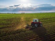 El 70% de los productores necesitará vender más de la mitad de su producción para afrontar los costos de la campaña 2023/24